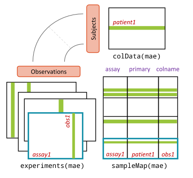 MultiAssayExperiment data layout